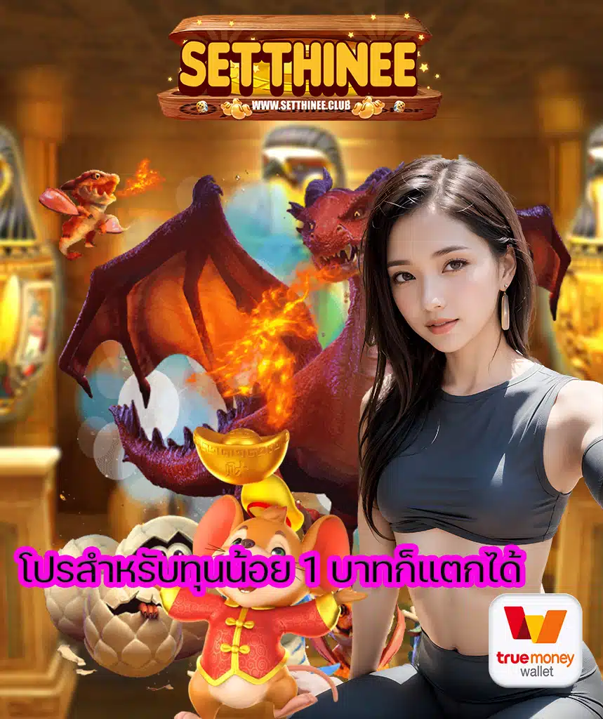 setthinee ระบบออโต้
